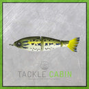 Contender Jr Swimbait