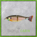 Contender Jr Swimbait