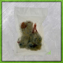 Day-Old-Chick Pre-Rigged Trace