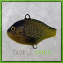 Large Pumpkin Seed Pre-Rigged