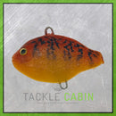 Large Pumpkin Seed Pre-Rigged