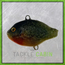 Large Pumpkin Seed Pre-Rigged