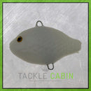 Large Pumpkin Seed Pre-Rigged