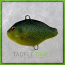 Large Pumpkin Seed Pre-Rigged