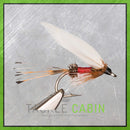 Royal Coachman - Standard