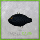 Small Pumpkin Seed Pre-Rigged