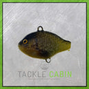 Small Pumpkin Seed Pre-Rigged