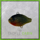 Small Pumpkin Seed Pre-Rigged