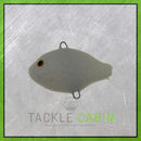 Small Pumpkin Seed Pre-Rigged