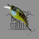 Curve 55 Finesse Crank