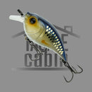 Curve 55 Finesse Crank