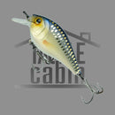 Crush 50X Crankbait