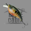 Curve 55 Finesse Crank